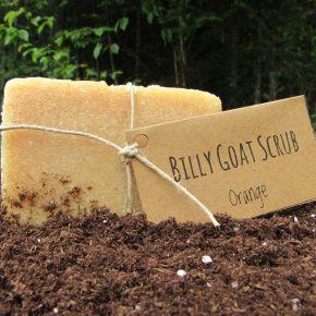 Orange Billy Goat Scrub