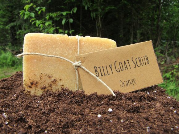 Orange Billy Goat Scrub