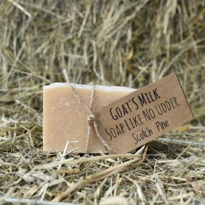 Scotch Pine Goat's Milk Soap Like No Udder