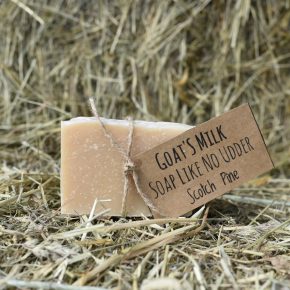 Goat's Milk Soaps & Lotions