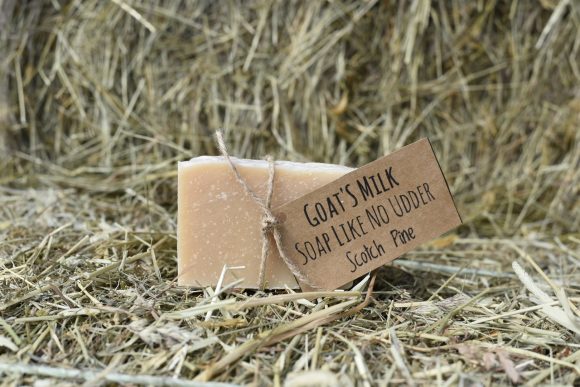 Scotch Pine Goat's Milk Soap Like No Udder