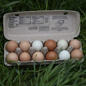 Free Range Chicken Eggs