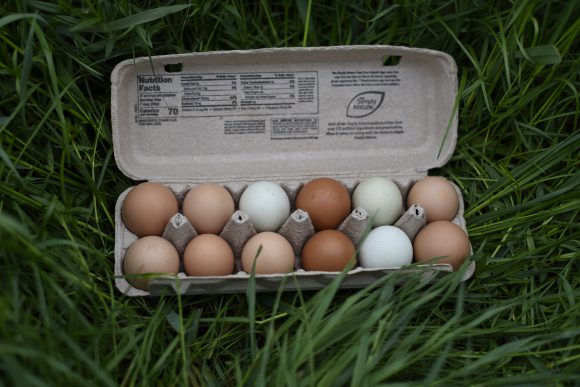 Free Range Chicken Eggs