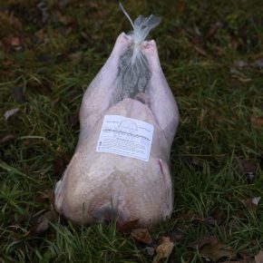 Whole Frozen Pasture Raised Turkey