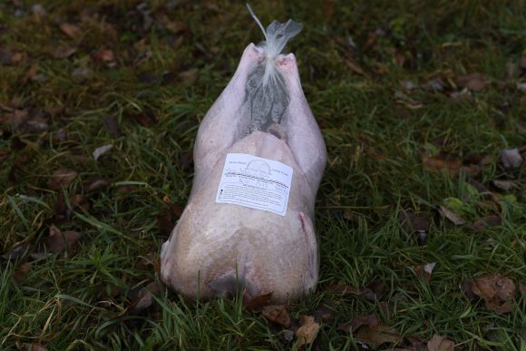 Whole Frozen Pasture Raised Turkey