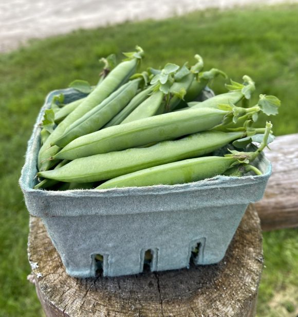 Snap Peas