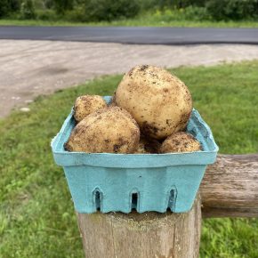 Potatoes