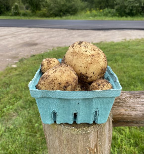 Potatoes
