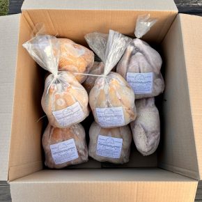 Bulk Chicken Box