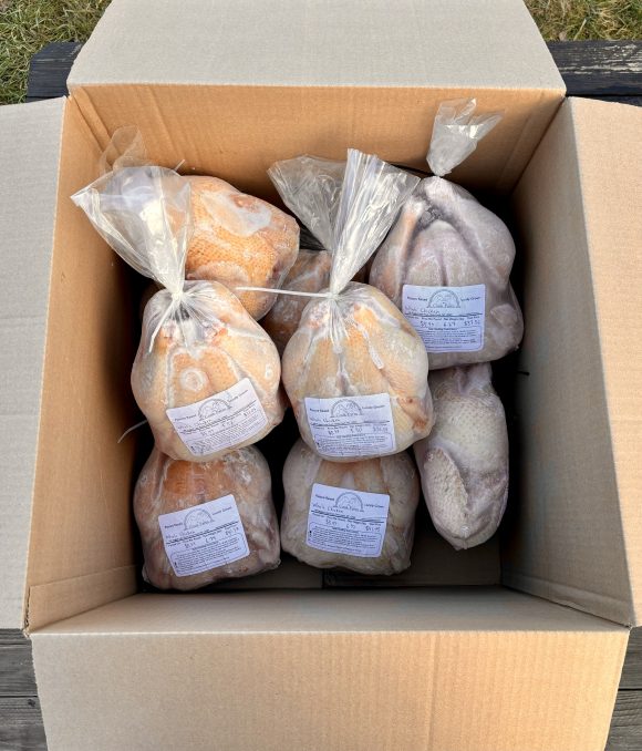 Bulk Chicken Box