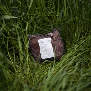 Pasture Raised Goat Liver