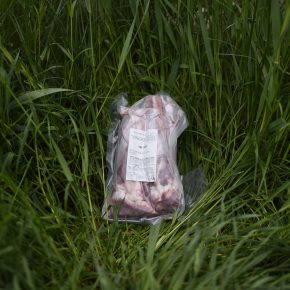 Pasture Raised Goat Shanks