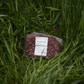 Pasture Raised Sweet Italian Goat Sausage (Loose)