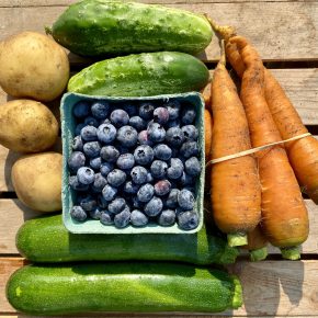 Vegetable CSA Share