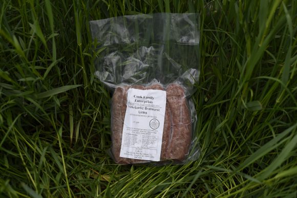Pasture Raised Pork Garlic Sausage Links